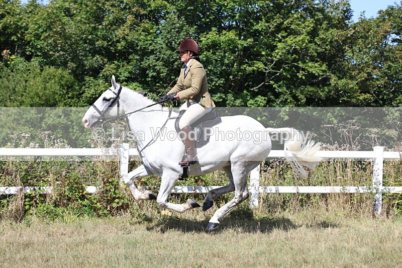 3E7A6437 - Working Hunter Championship