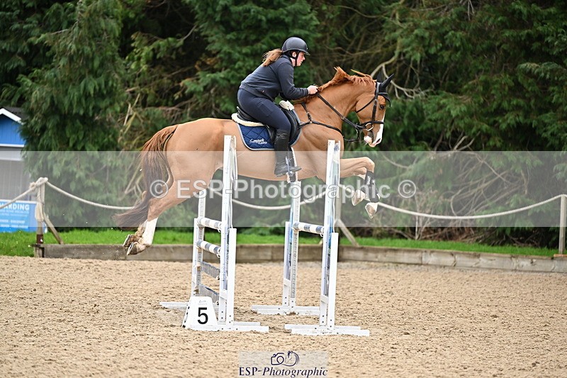 250201A-124101-00668 - Cls 03 Local Horse 110cm