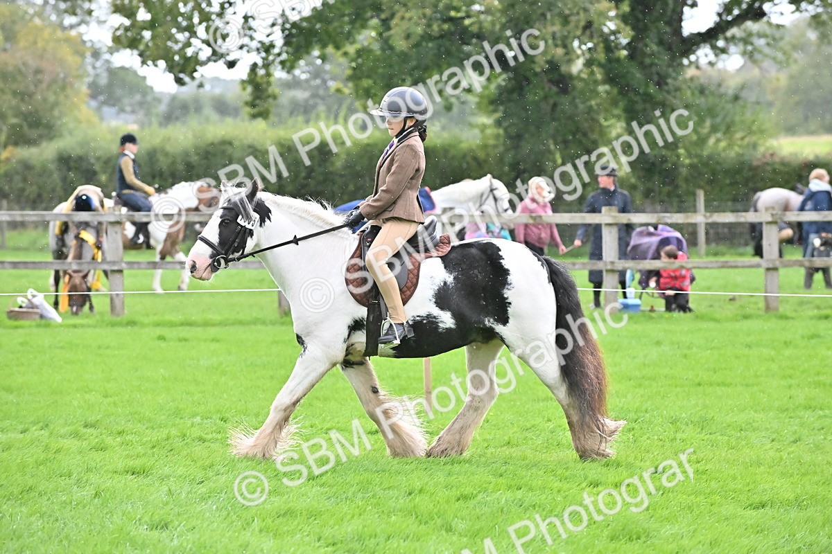 SBM_42926 - S12 - Family Horse & Pony