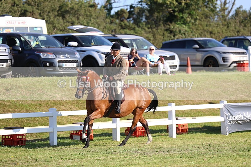3E7A5039 - Class 1: Rising Star Small Hack/Riding Horses