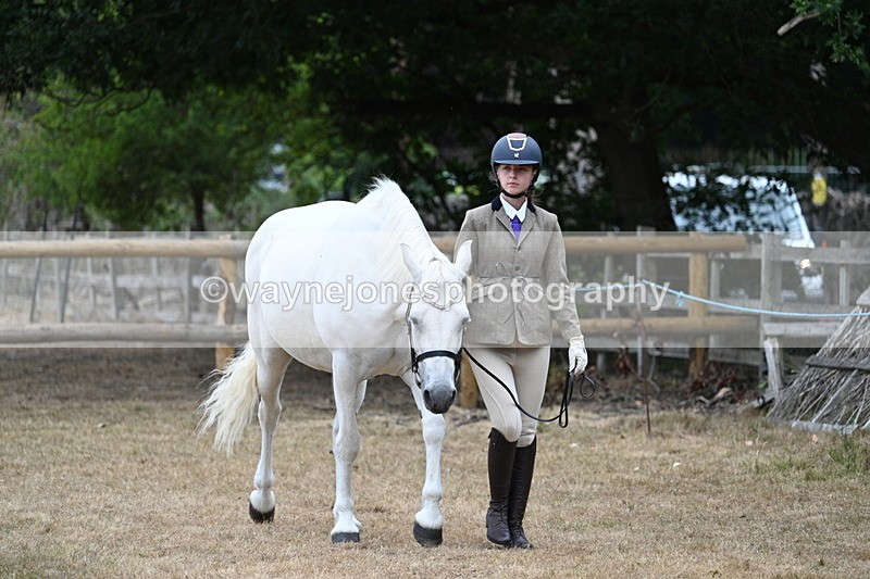 WJ7_8649 - Class 4a Prettiest Mare 14.2hh and over