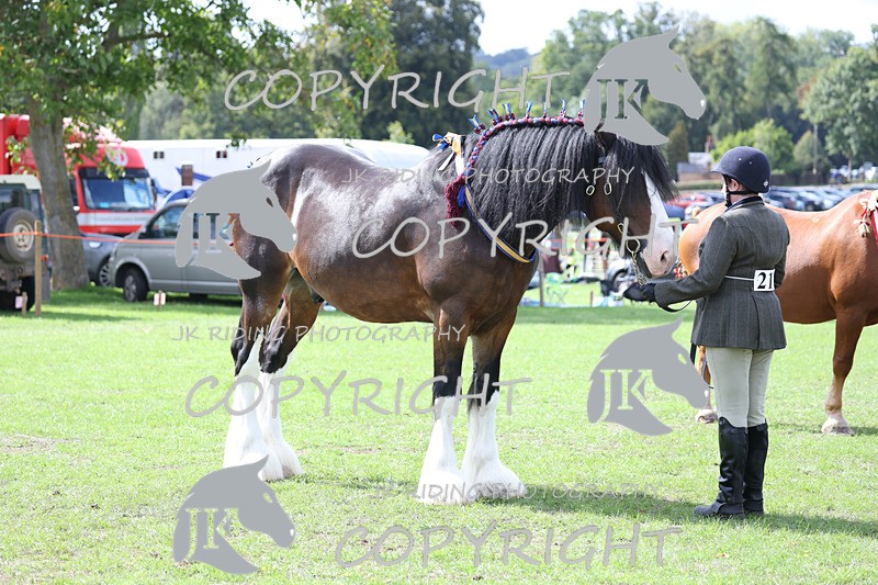 APP_3258 - Class 4 Veterans