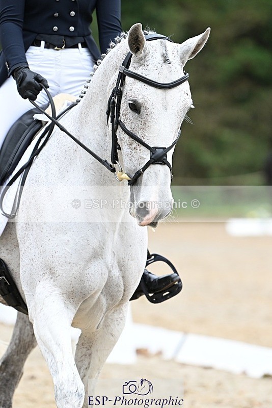 231019-152152-04454 - 063-TOMGAR.GRACE-Annie.Smith-DR