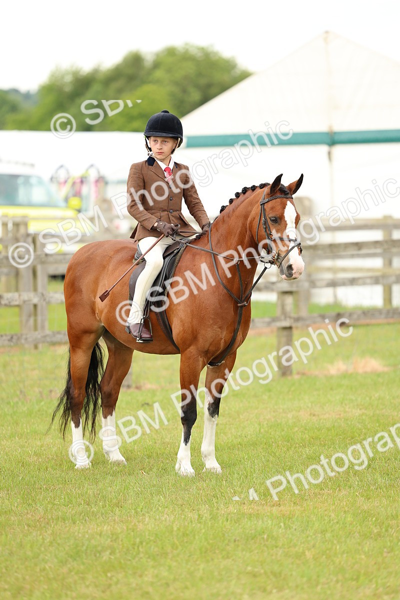 SBM_10377 - Class 44-45 - LIHS BSPS Open Nursery and Cradle Stakes