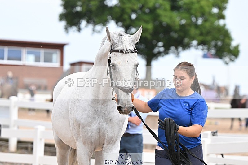 250716-161953-02567 - Trot Up 3.30 to 4.30