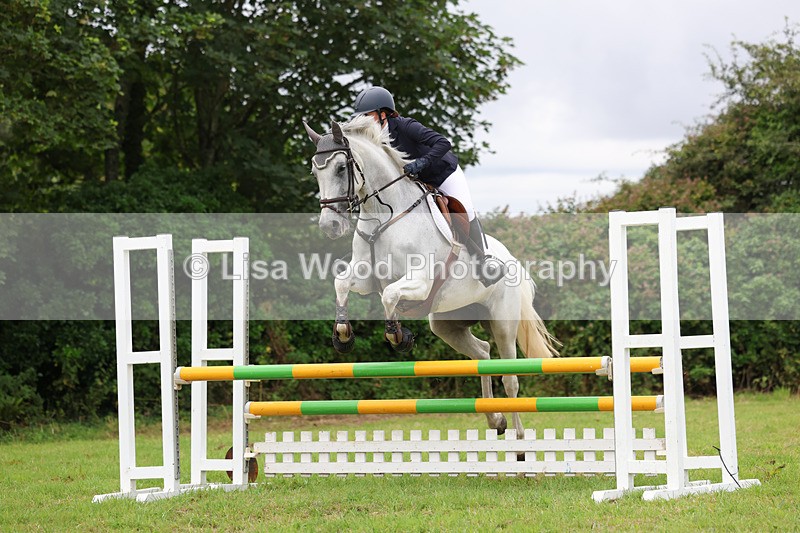 3E7A7050 - Class 5: Senior British Novice/90cm open