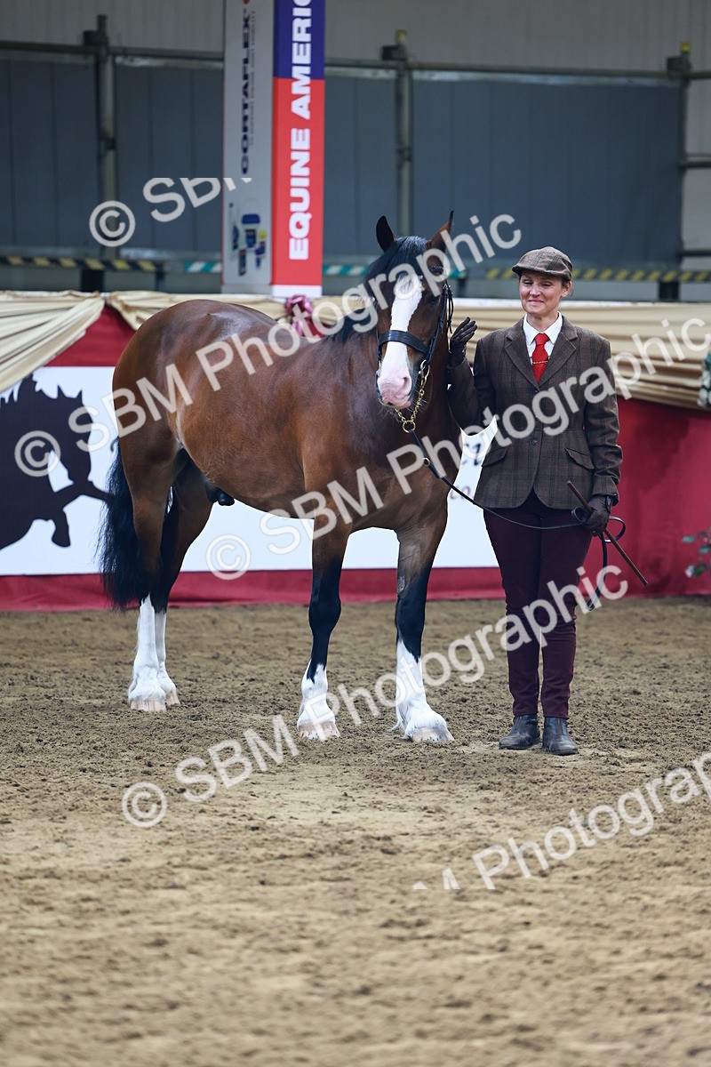 SBM_22205 - Class 902 - Supreme Final - IH Diamond