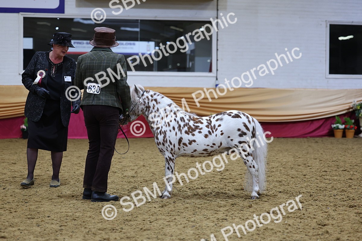 SBM_20895 - Class 902 - Supreme Final IH Veteran