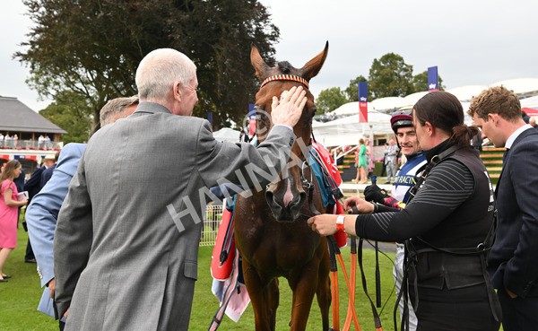 230825-296 Dain Ma Nut In - Race 7 5.20pm Sky Bet Steve Birch Finale Handicap