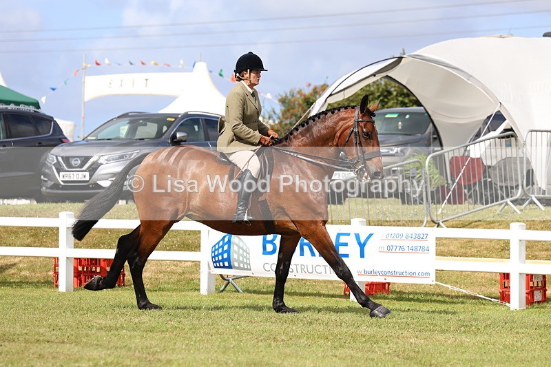 3E7A9402 - Class 4: Rising Star M/H Hunter