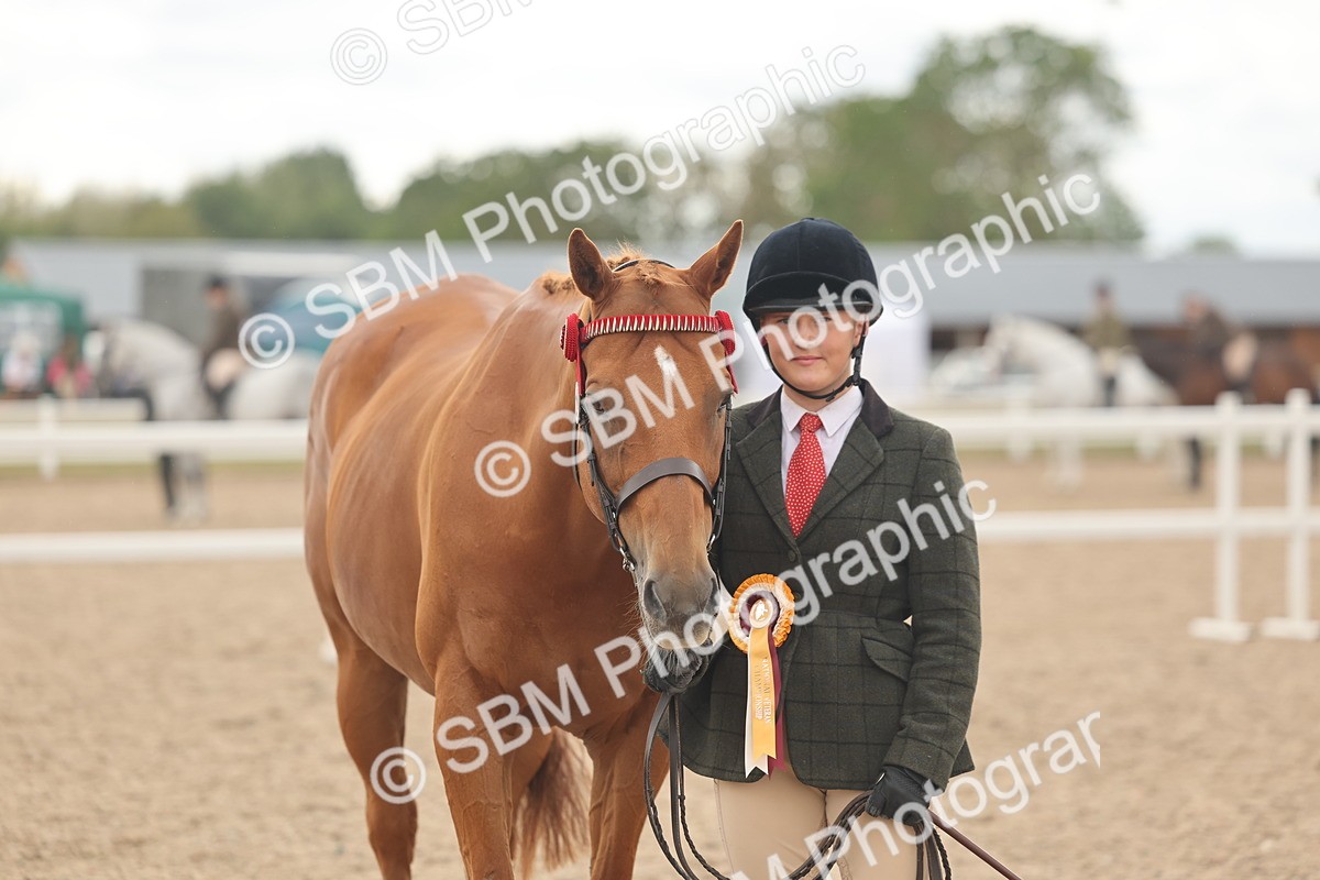 SBM_17156 - Class 313 - IH Retired Racehorse