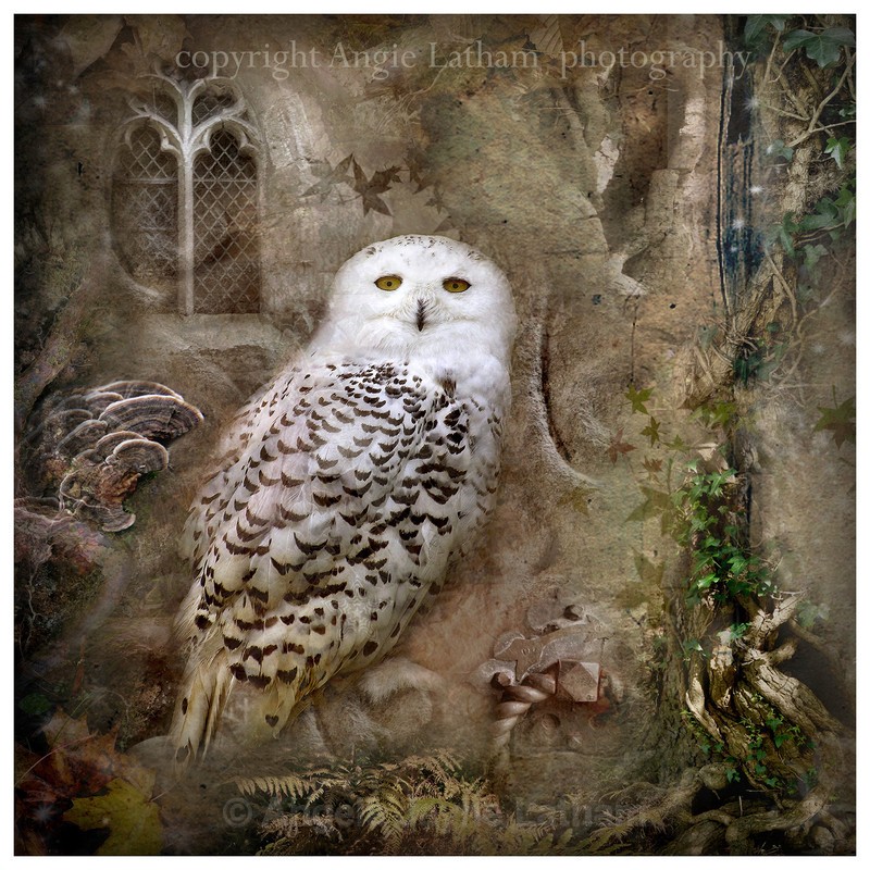 AS010 Evensong - Magic & Mystery