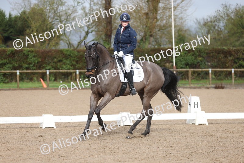 20260215-0337 - Class 5 - Elementary 5