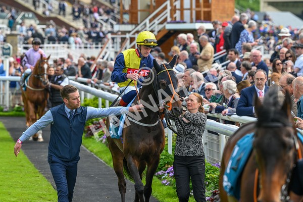 160524-Race 2-Point Lynas-5317 - Race 2 2.45pm Oakmere Homes Hambleton Handicap