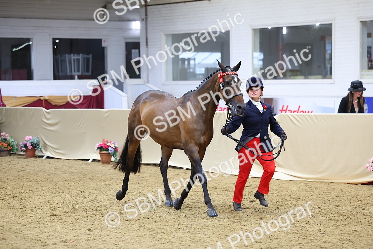 SBM_21094 - Class 902 - Supreme Final IH Veteran