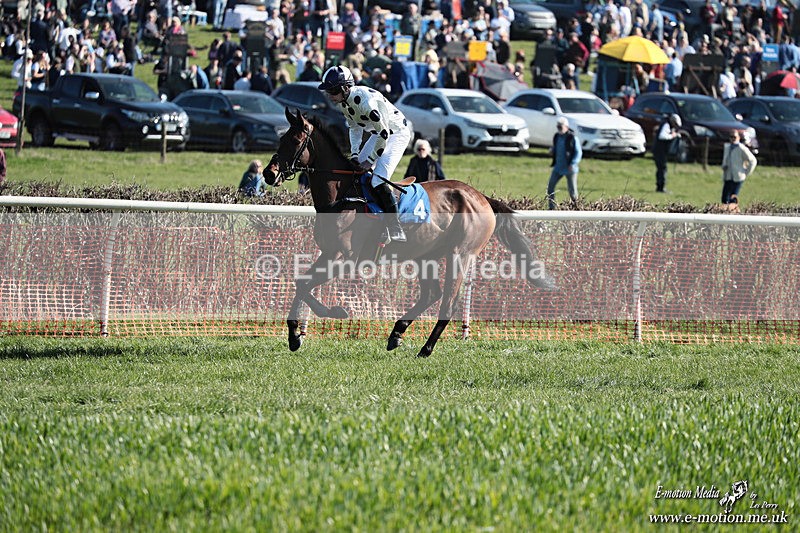 PtP 210326 259 - VWH Cirencester Races 21/03/26