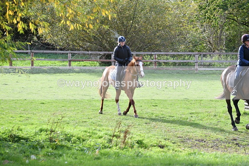 WJ5_1193 - Time 14:29 to 15:31