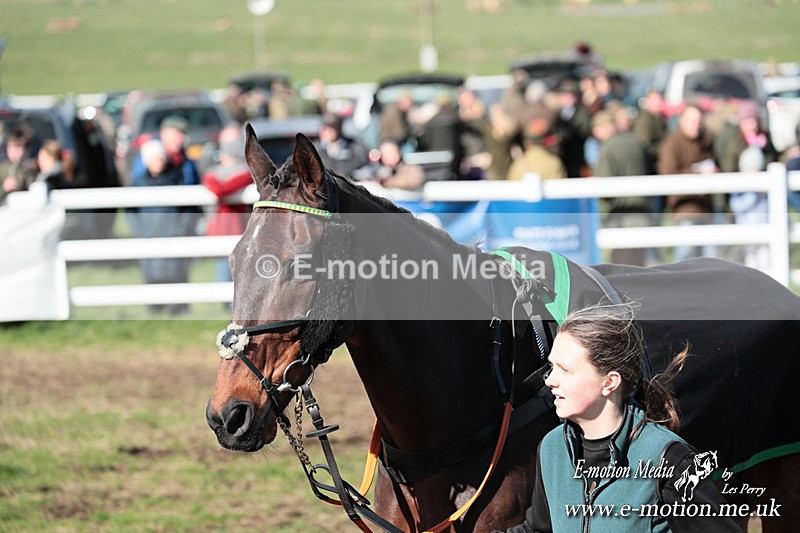 PtP 230324 634 - Tedworth Hunt PtP Larkhill Raccourse 23rd March 2024