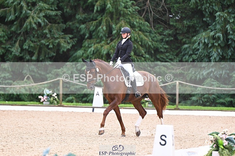 240809-121652-00721 - 185-Daisy.Hedges-Felicia.v