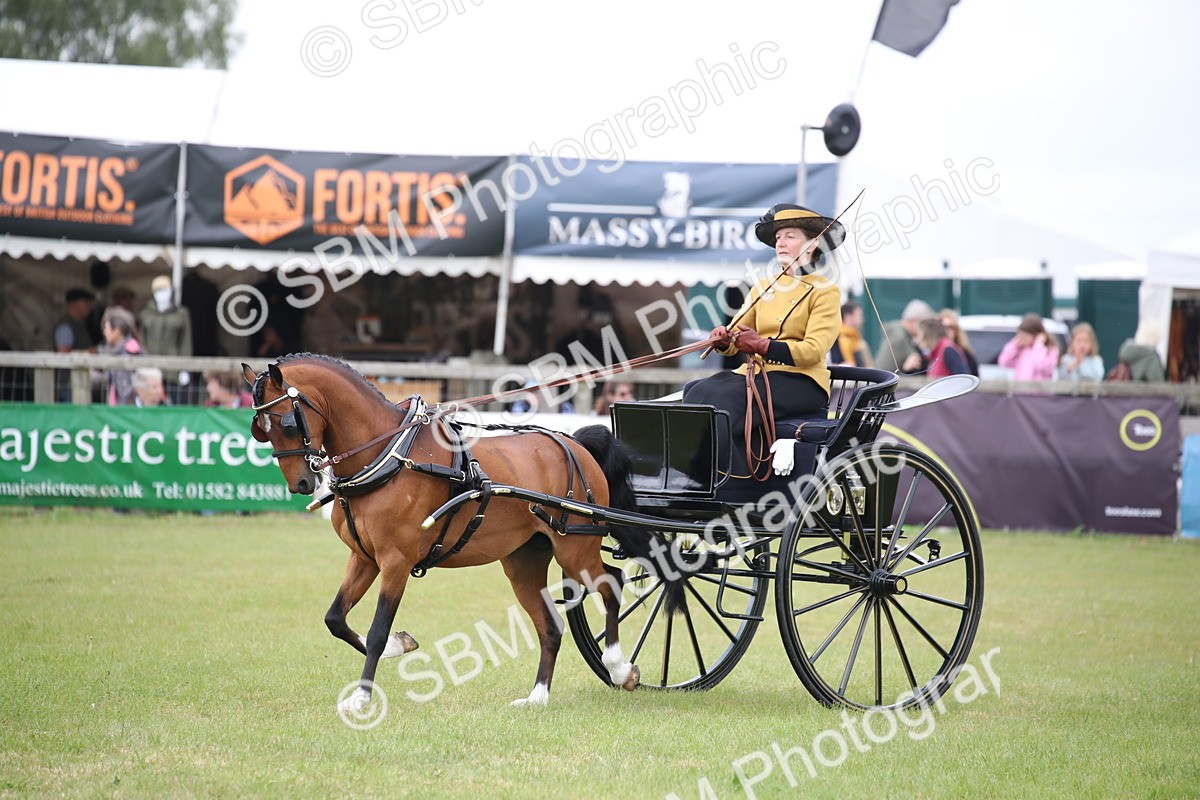 SBM_05839 - Class 12-15 - HOYS Private Driving