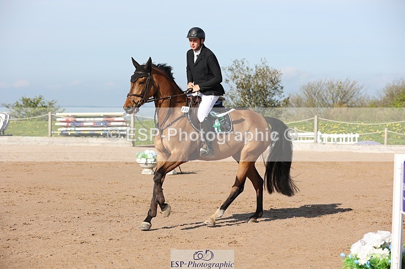 250427-090832-14766 - Cls 28 Young Horse 5yr old