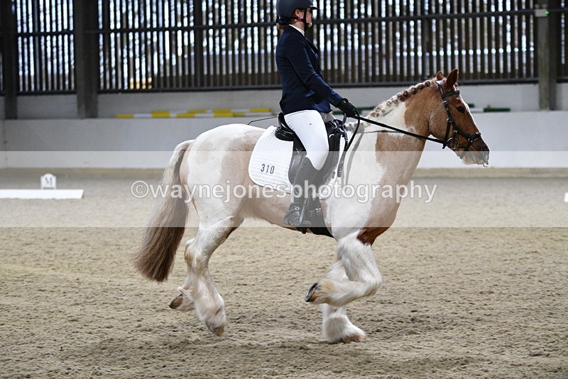 WJ5_0104 - Time 13:48 to 14:18