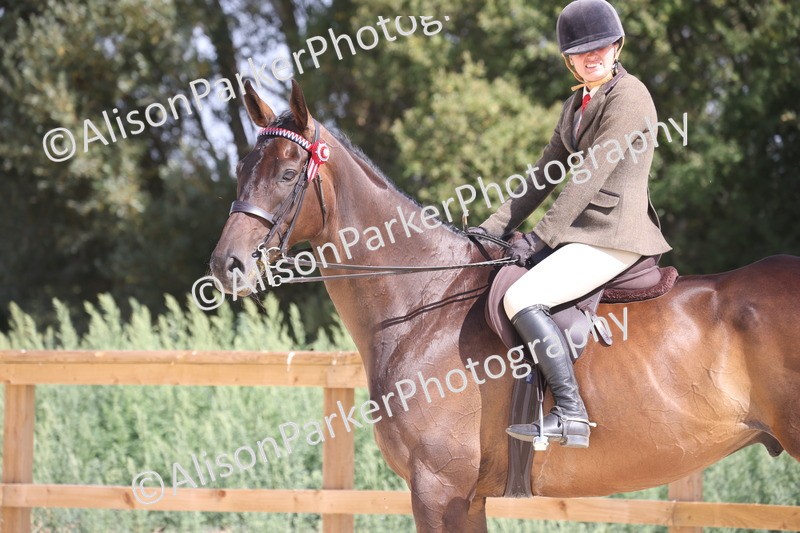 20260802-0730 - Class 8 - Best Riding Horse or Pony