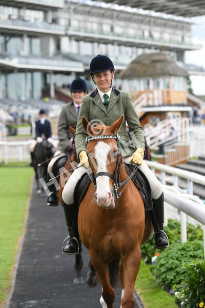 yr22052022r8e-10 - ROR - Parade Ring York