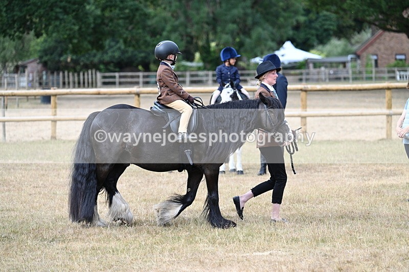 WJ7_6693 - Class 1 Lead Rein Pony