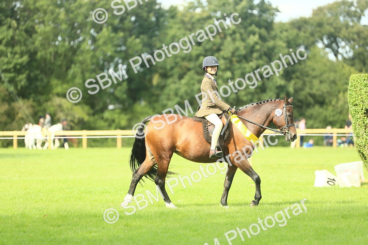 SBM_44875 - Working Hunter Pony Supreme Championship