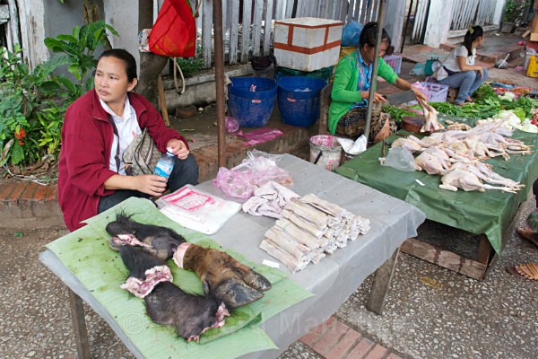  - Laos