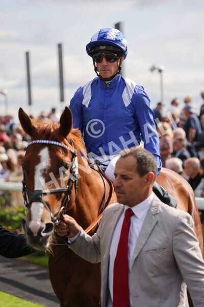 yr18082021r4-41 - Race 4 3.35pm Juddmonte International Stakes (British Champion Series race)