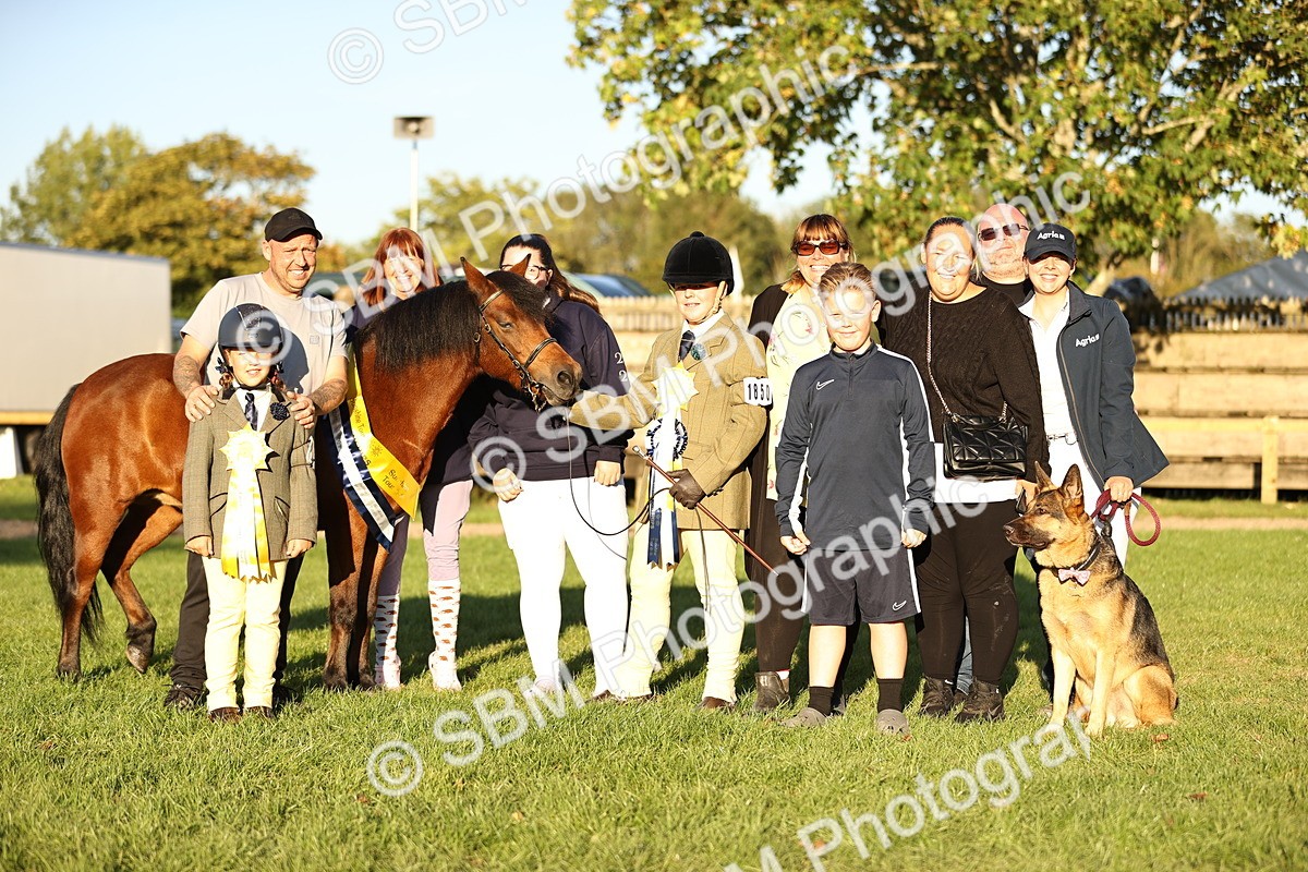 SBM_30162 - Novice & Newcomers Supreme Championship