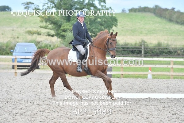 BPP_5989 - PRELIM TEST 5 LONG ARENA