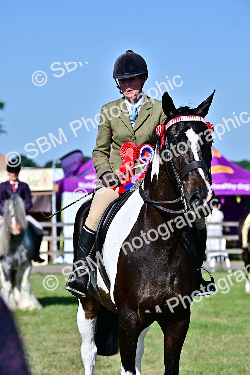SBM_19575 - Class 101-102 - BSPS LIHS Performance Coloured Horse/Pony