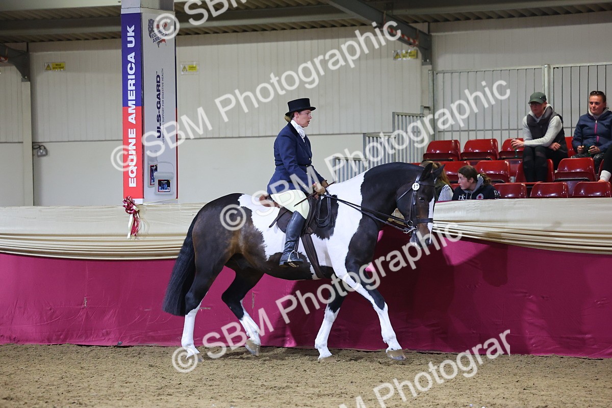 0B8A4448 - Class O Ridden Show Horse Champ