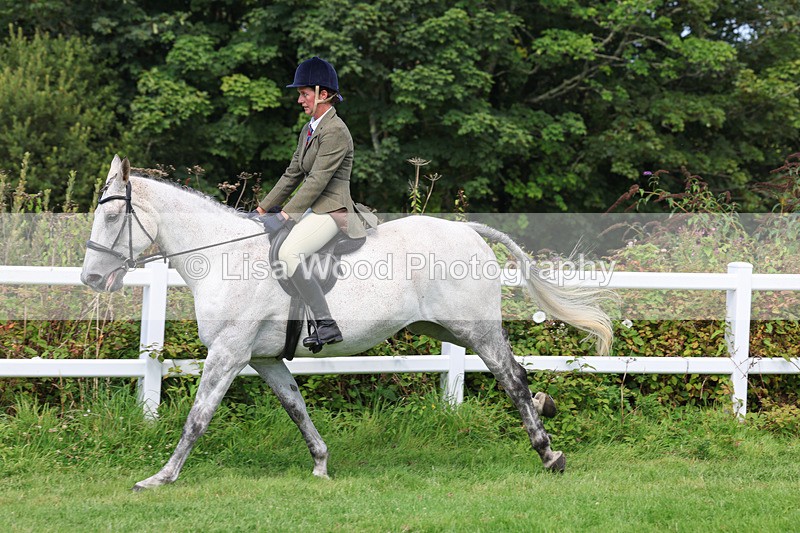 3E7A8726 - Class 5: Working Show Horse