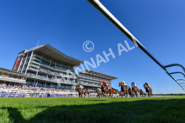 110725-Race 6-Brazen Bolt-6900 - Race 6 5.07pm William Hill Keep Your Raceday Positive Handicap