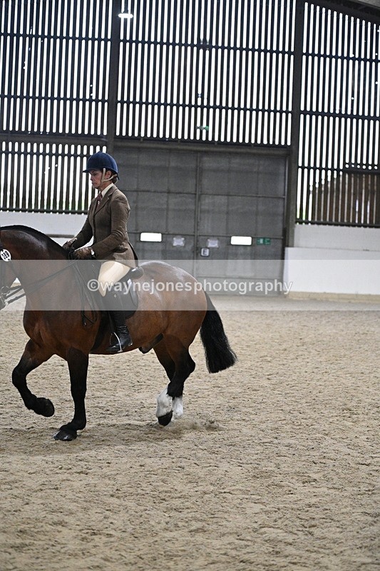 WJ7_3997 - Class 17 Ridden Cob