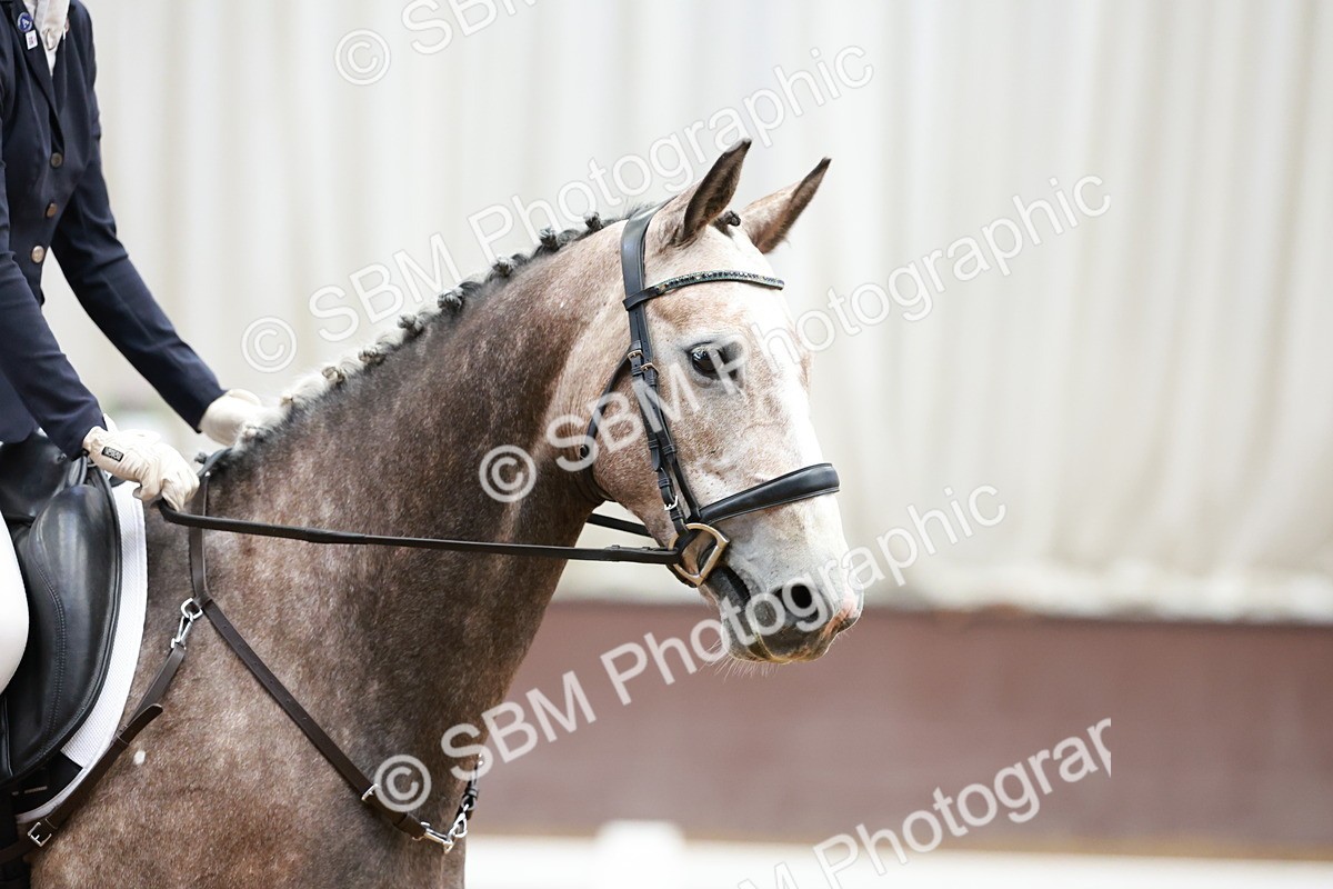 SBM_000641 - Class 2 - Intro 4