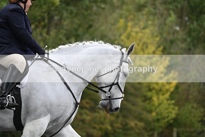 WJ7_2904 - Time 09:00 to 09:35