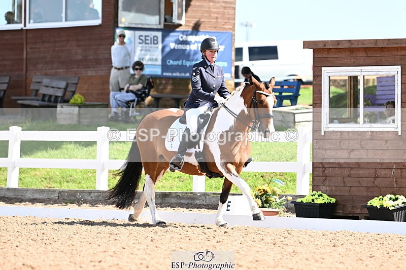 240816A-111009-04009 - 189-Mel.Day-Dolderwydd.lucky.Maisie