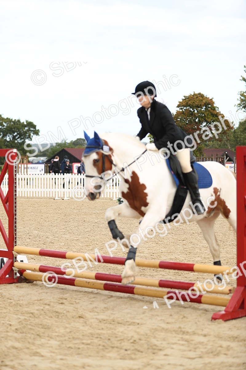 SBM_02021 - J34 - Veteran Rider 50cm