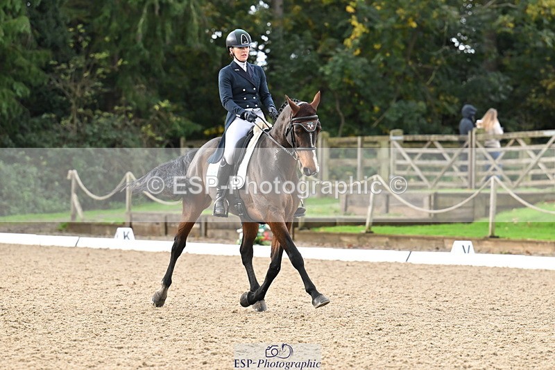 251023A-104450-01531 - B-131-Gemma.Gurvidi