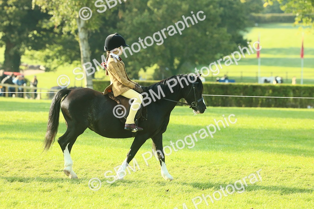 SBM_59117 - S38 - Starters Ridden Showing