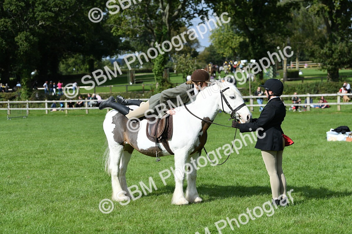 SBM_47031 - S12 - Family Horse & Pony