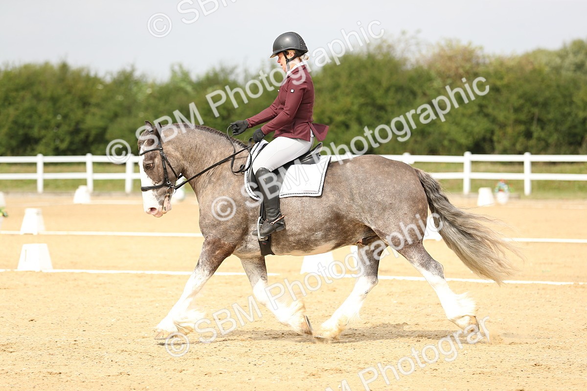 SBM_017306 - Class 13 - Novice 23 - 13.31-14.13
