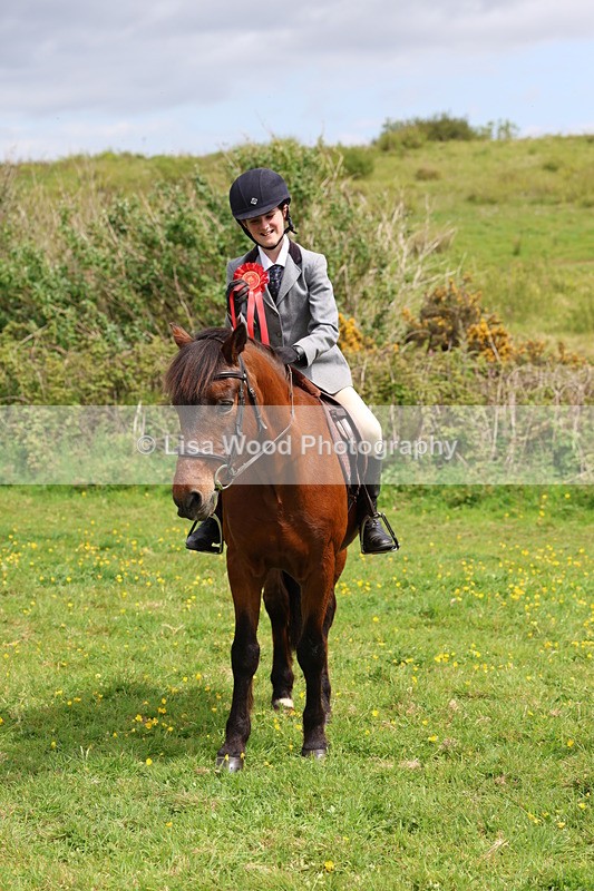 3E7A1590 - Class 8: Ridden Veteran Junoir and Senior