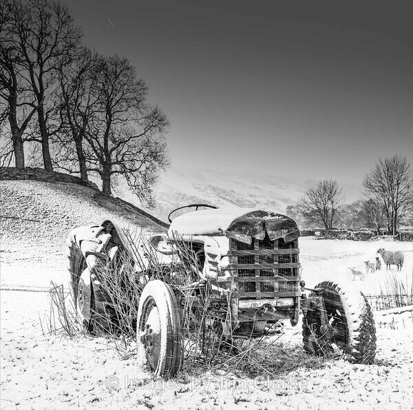 IMG_6799-Old Fergie  - Landscapes