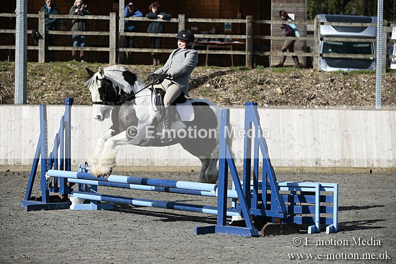 BVRC SJ 170319 82 - Bourne Valley Riding Club Showjumping 17/03/19